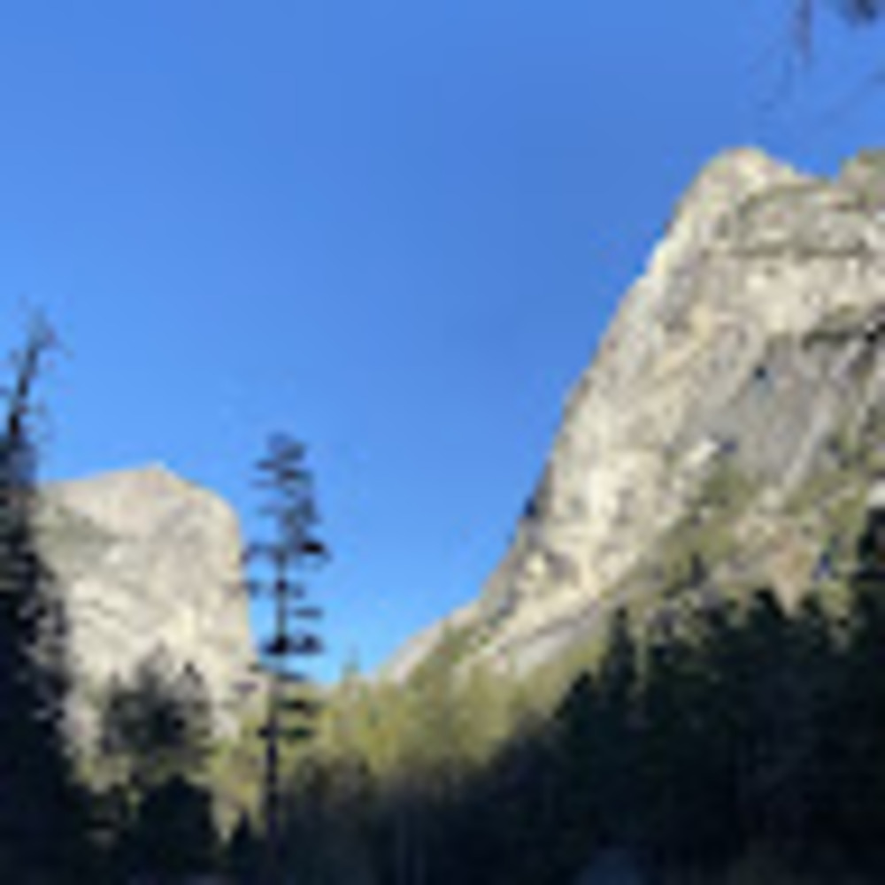 Meet your Posher, Charlotte